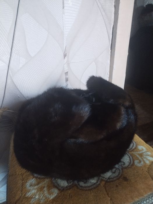 Зимняя мужская ушанка