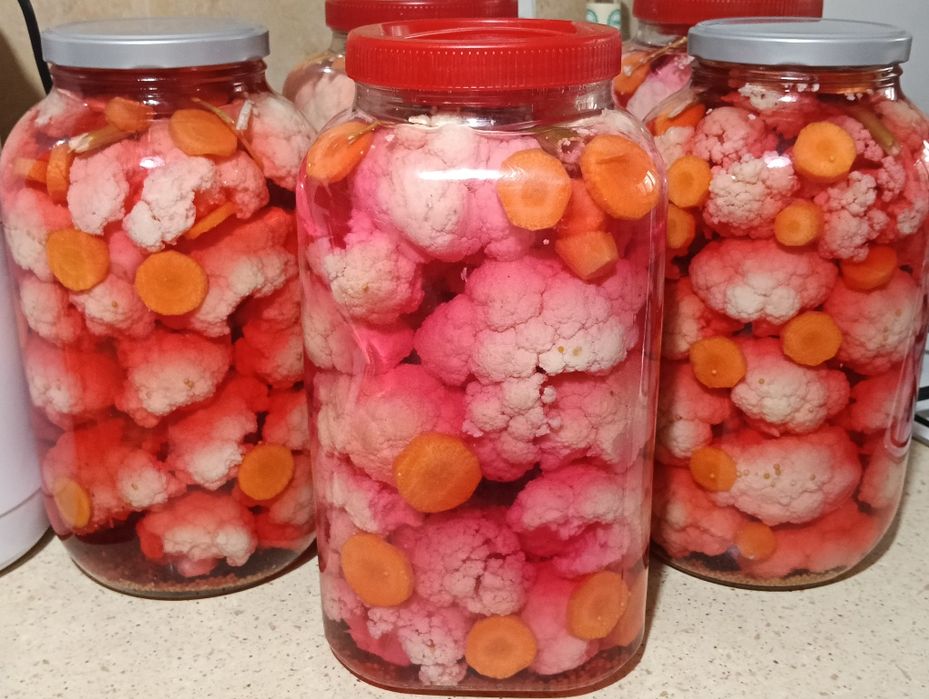 Conopida murats ,bidon 5L