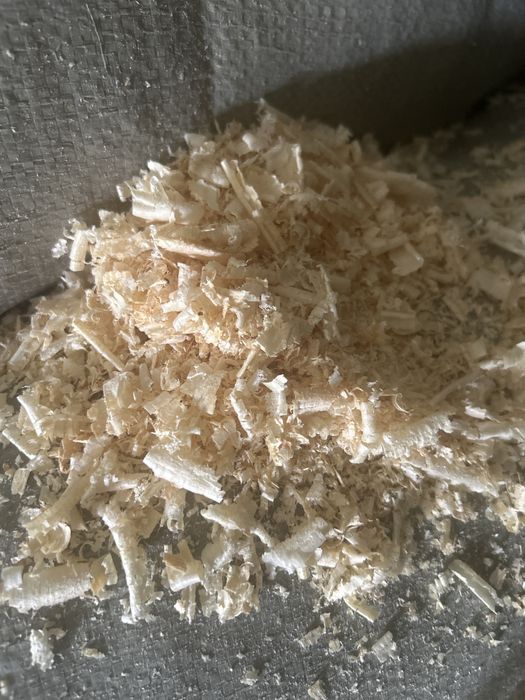 Продам опилки столярные, сухие, из под рейсмуса.