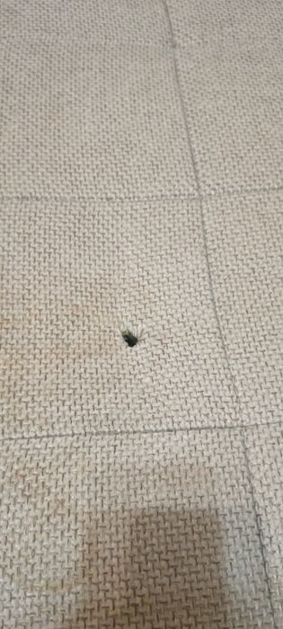 Продам диван за дешевую цену