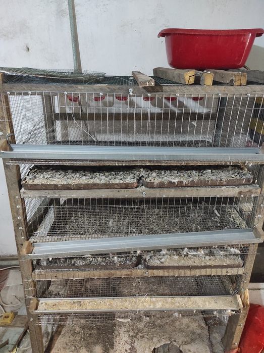 Продаю клетки для перепелов