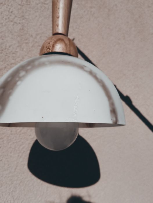 Продавам единичен полюлей