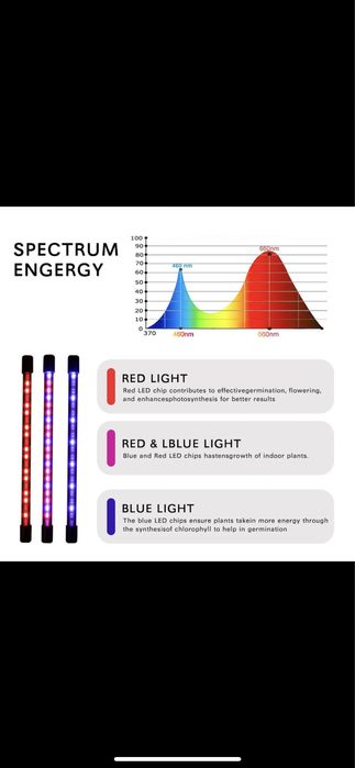 фитолампа с таймером