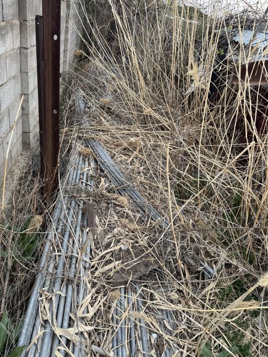 Теплица кария салафан