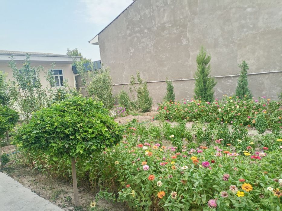 Сйргли район уй сотилади ховли зор жойда жойлашган шошлилила опколишга