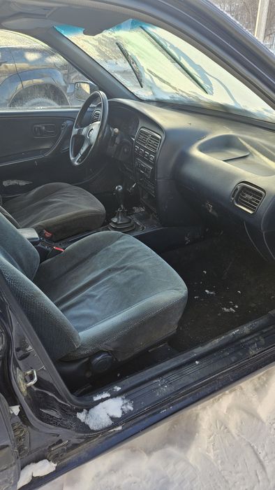 Примера продаётся