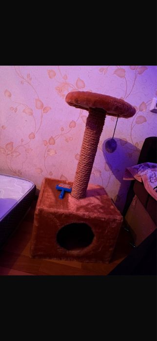 Продам коптиточку