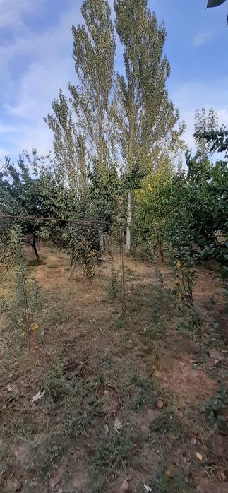 Йер сотлади нархи