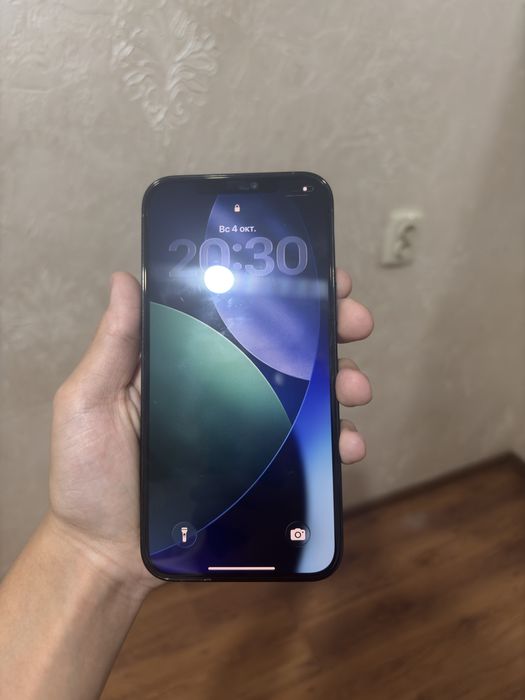 iphone 12pro max 256