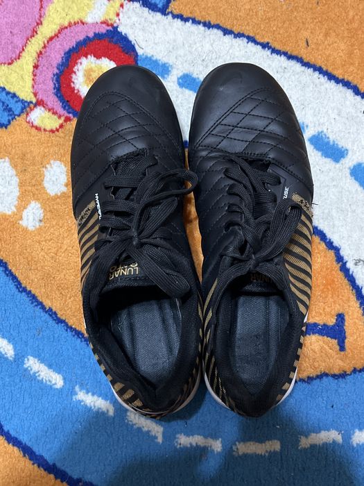 Сороканожки хорошие