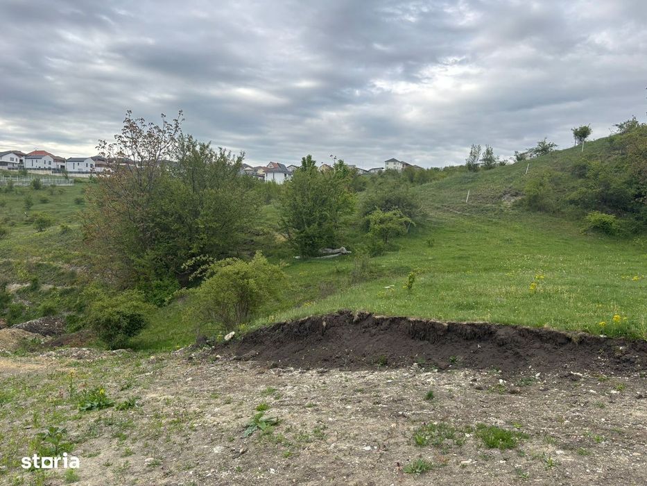 Teren intravilan Dezmir/ str Fantanele