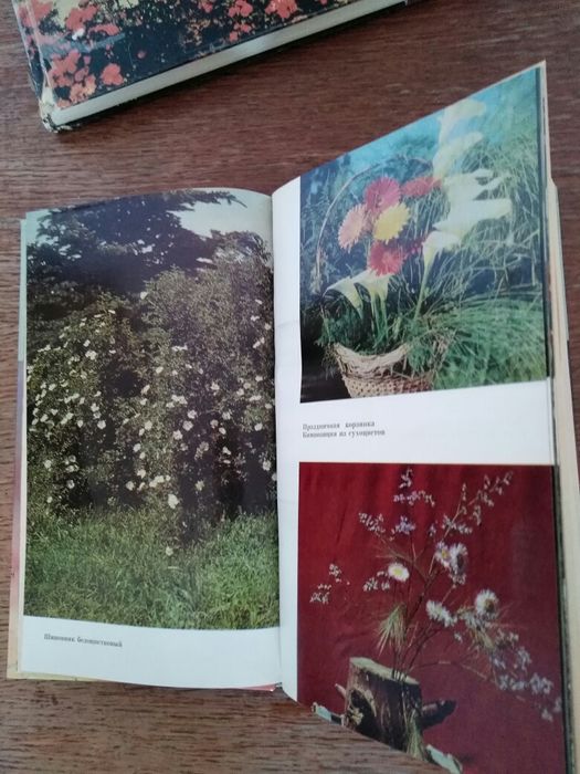 Книги о садовых растениях