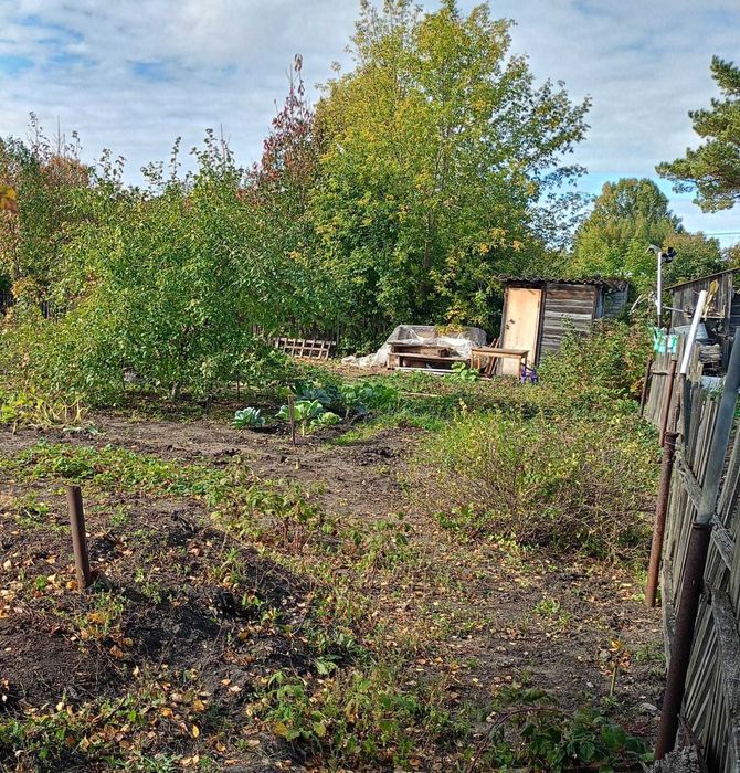 Продам дачный участок с/о Ромашка