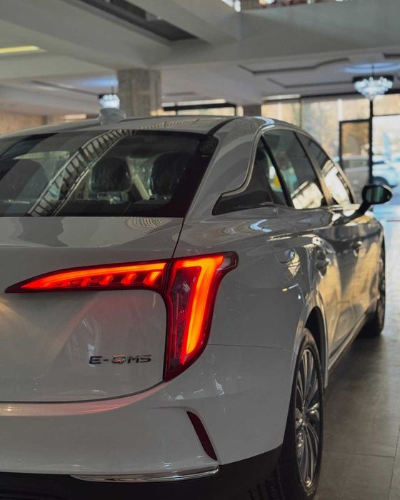 Hongqie E-QM5 500KM Nasiyga va naxtga