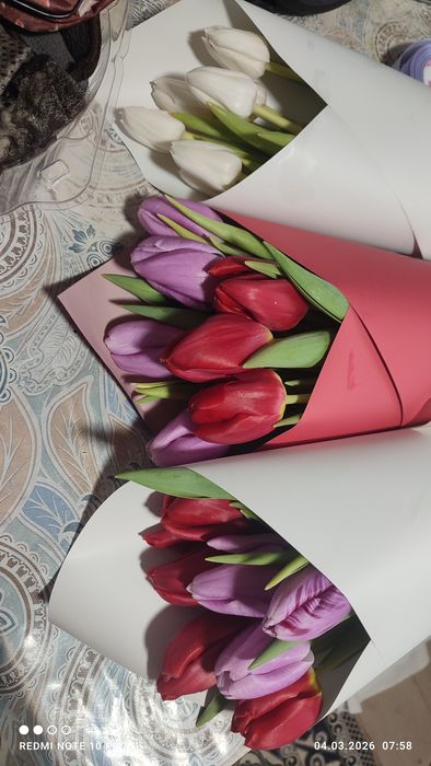 Продаю тюльпаны есть доставка