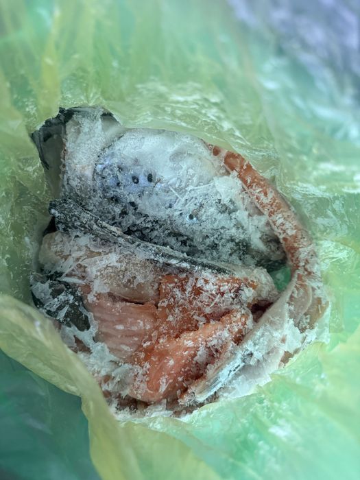 Продам обрезь семги