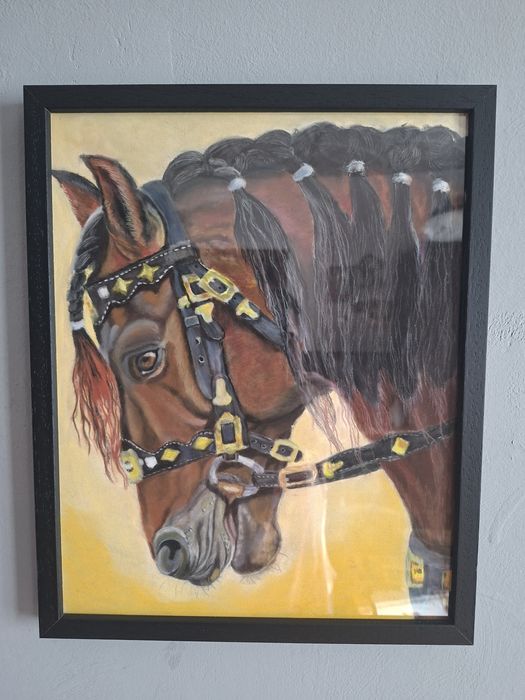 Desene creion pastel soft,pe foaie pastel mat  24x30