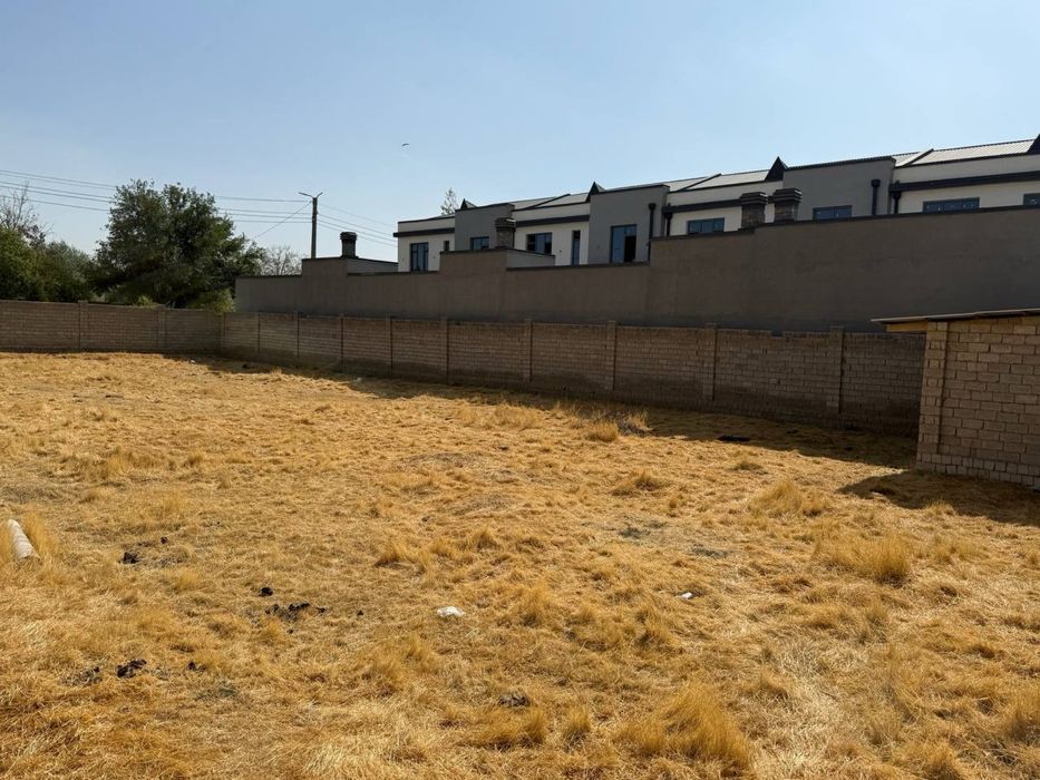 Tayor quruq yer Tuzelda