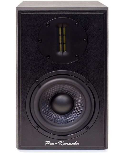 Комплект караоке Pro-Karaoke DS-50