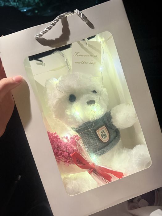 Мишка с гирляндой белый  6000