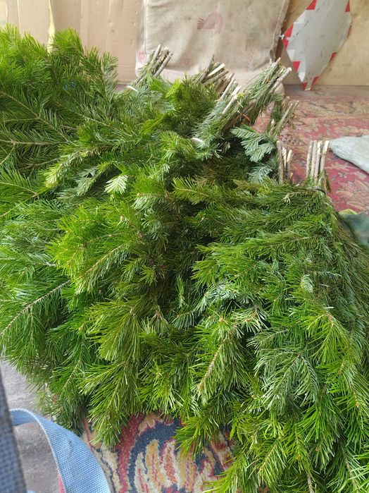 Продам   Пихтовая живица