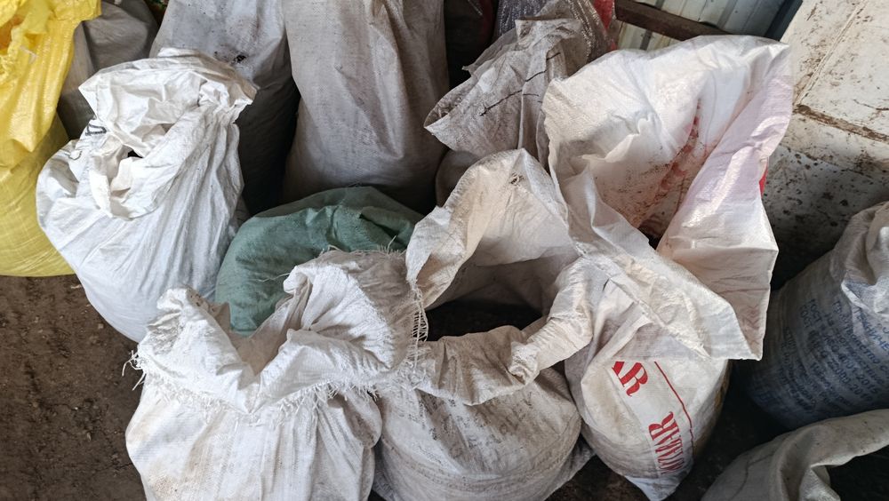 Куй гунги сотилади