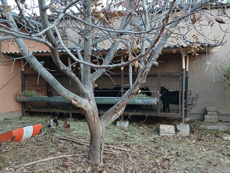 Куйхона сотилади хамма кулайлиглари бор тайор