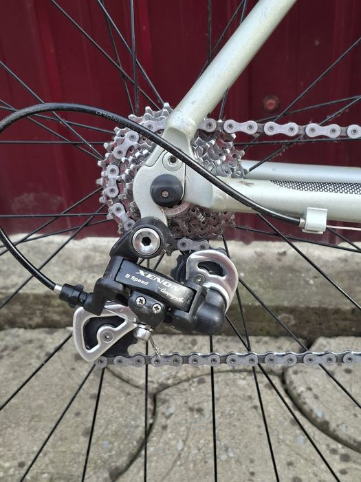 Cursiera Campagnolo Vektor