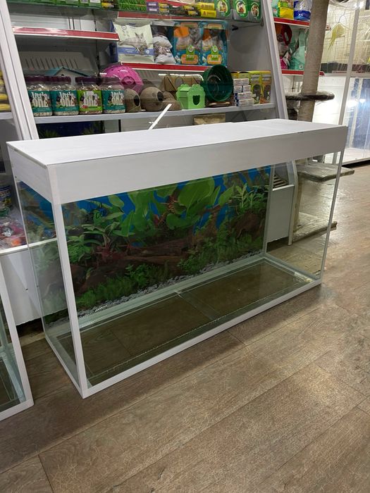 Аквариум в наличии