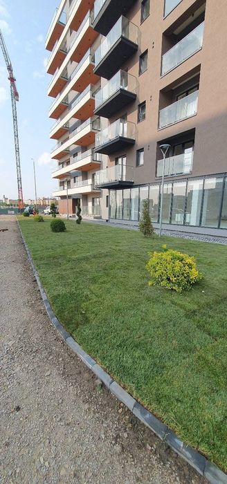 Gazon- plante naturale