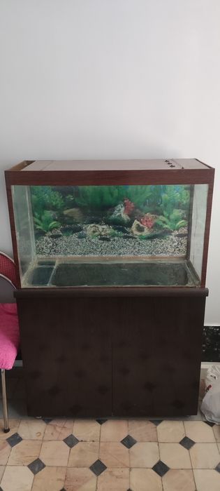 Akvarium sotiladi 185 L.