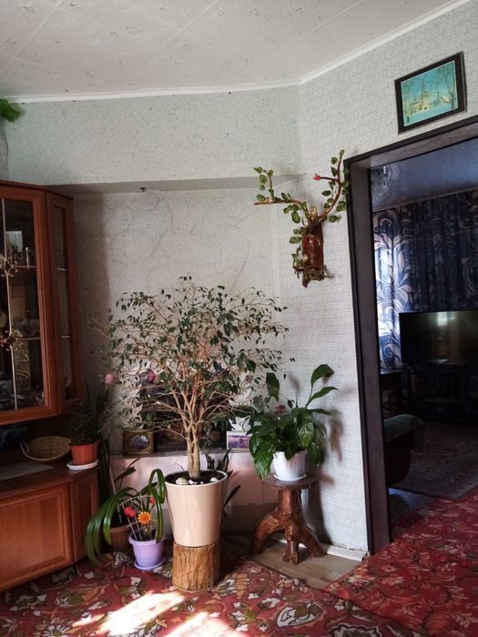 Продам дом поселок Красный кордон