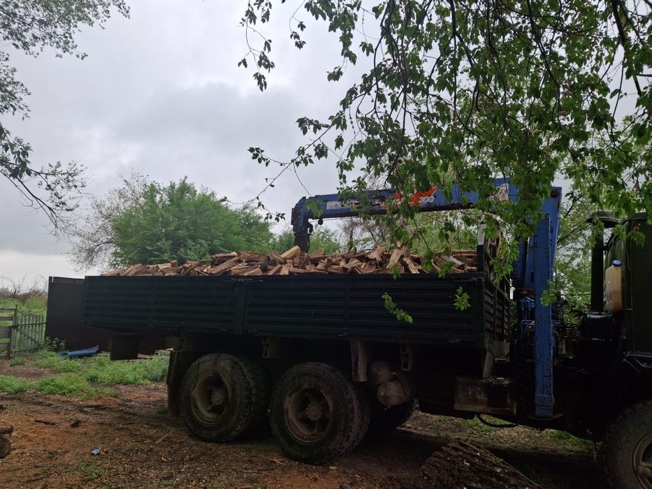 Дрова карагач продам