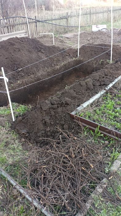 Продаю дачу в Михайловке, 12 соток