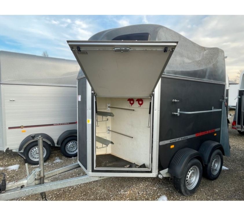 Коневозка на заказ