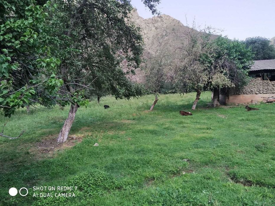 Koʻchmas mulk yer maydoni sotiladi