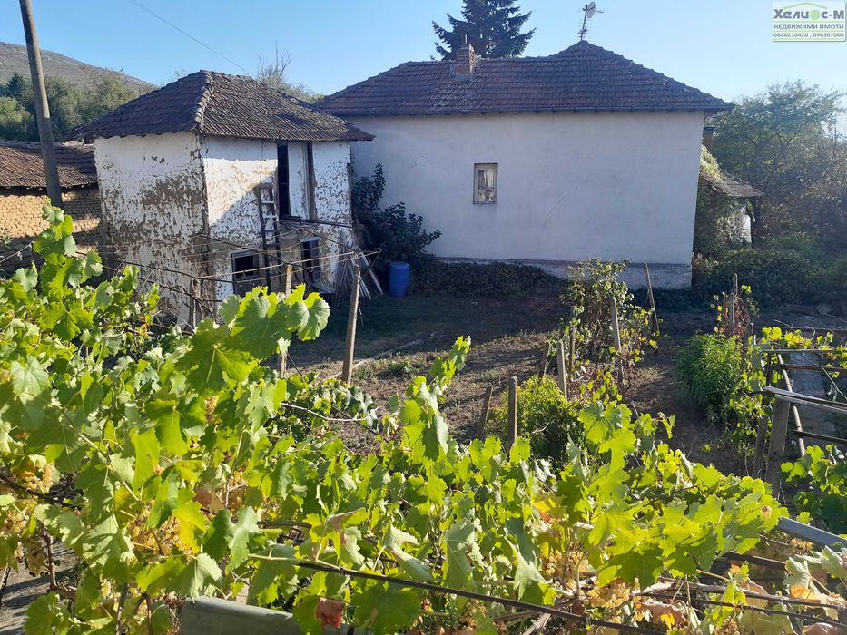 Къща с голям двор в с.Долно Белотинци, общ.Монтана