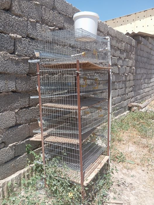 Клетка для перепелов