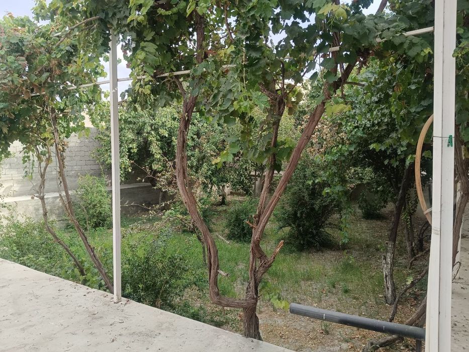 Гиждувон шахрида таер евро ремонт.  ховли сотилади. 10 сотих.