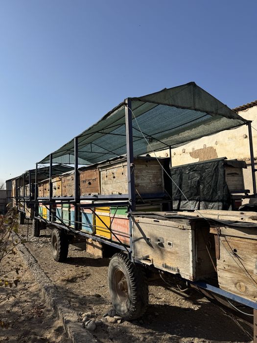 Пчелопавильон / пчелоприцеп с инвентарем