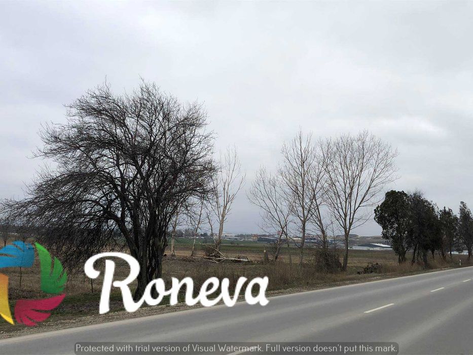 Парцел в землището на с.Тополи