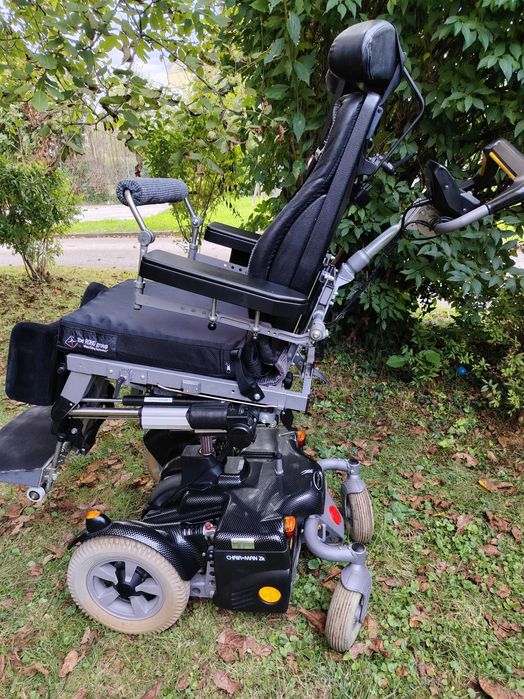 Căruț electric pentru persoane cu dezabiltati