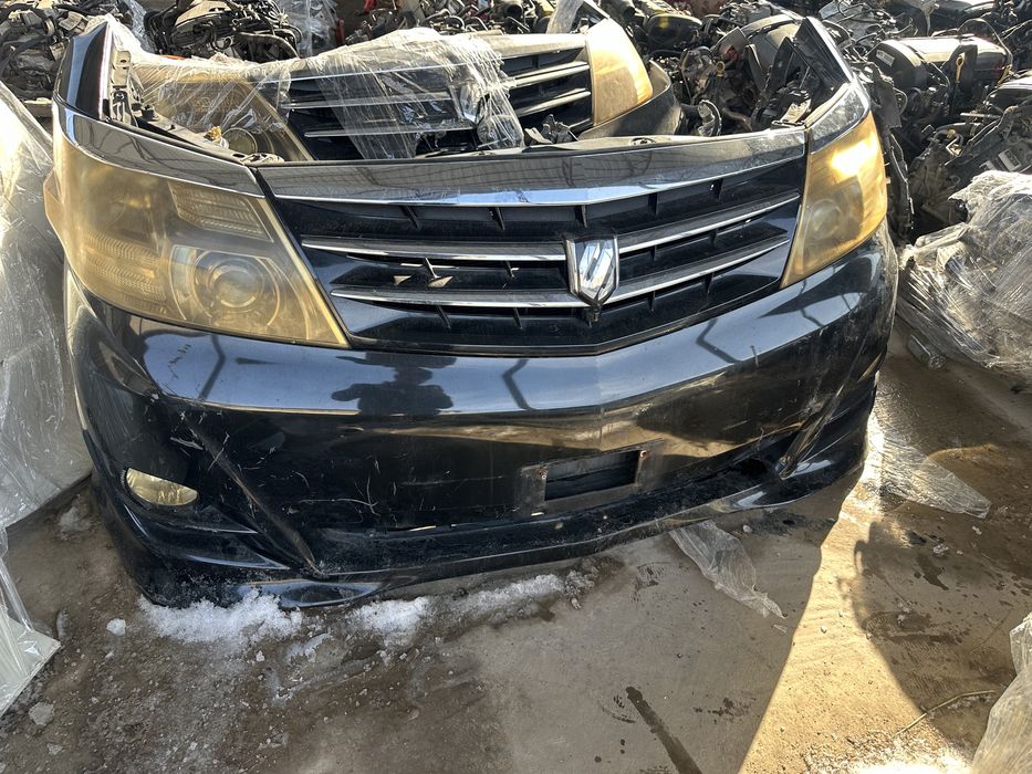 Мини морда на альфард