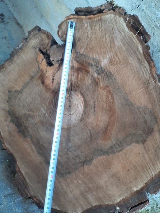 Blaturi nuc pentru mese de cafea   / rondele nuc, mesteacan , arin