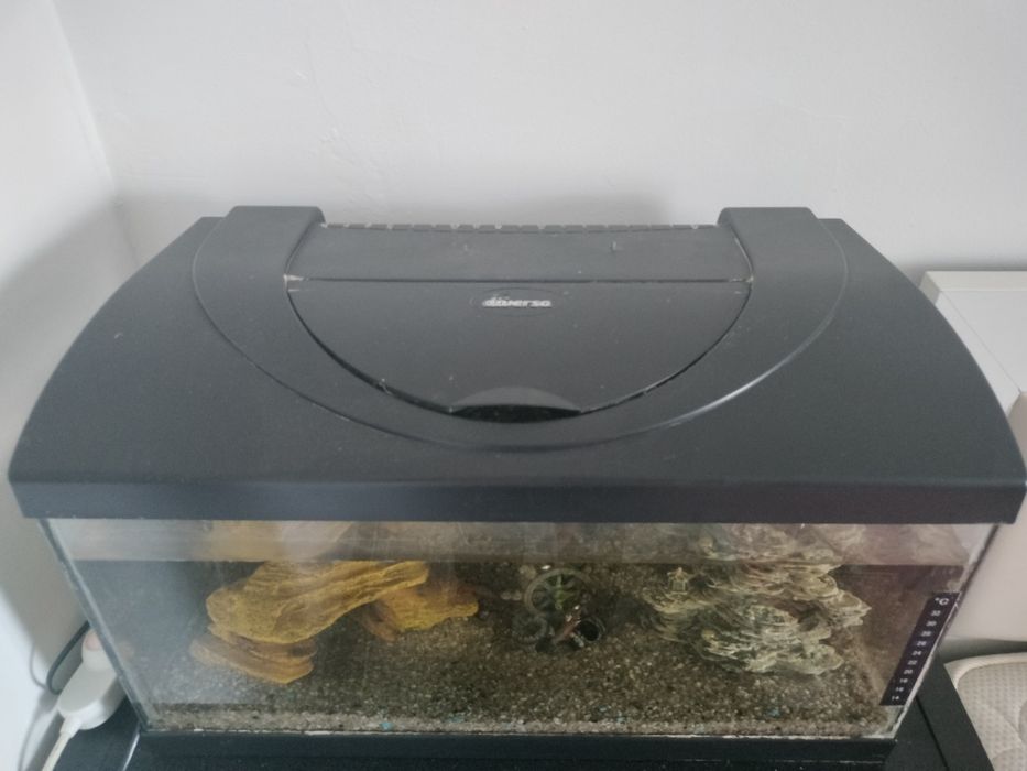 Acvariu  diversa eco 60