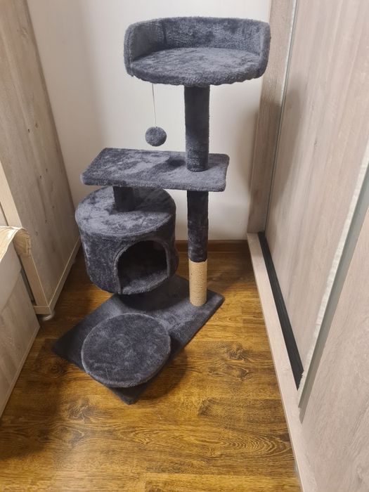 Ansamblu joaca pisici