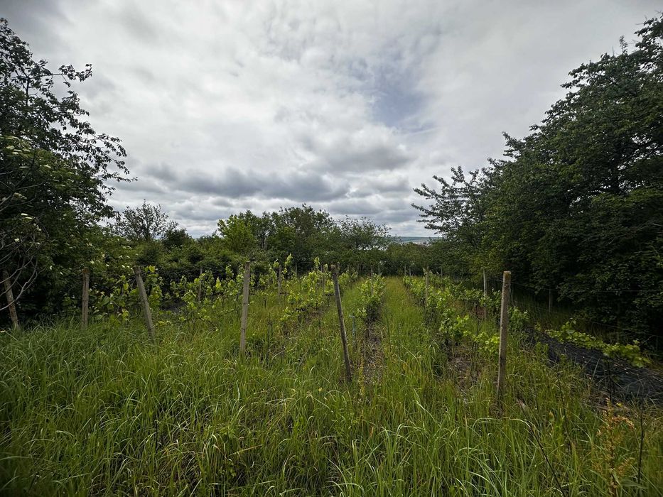 Продава се Парцел в Разград, Абритус - 1275 кв.м за 28 €/кв.м - Снимка #3