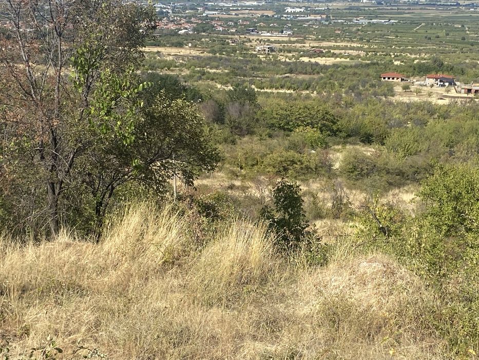 Продава се Земеделски имот в с. Брестник, Област Пловдив -  кв.м за 50 €/дка - Снимка #4