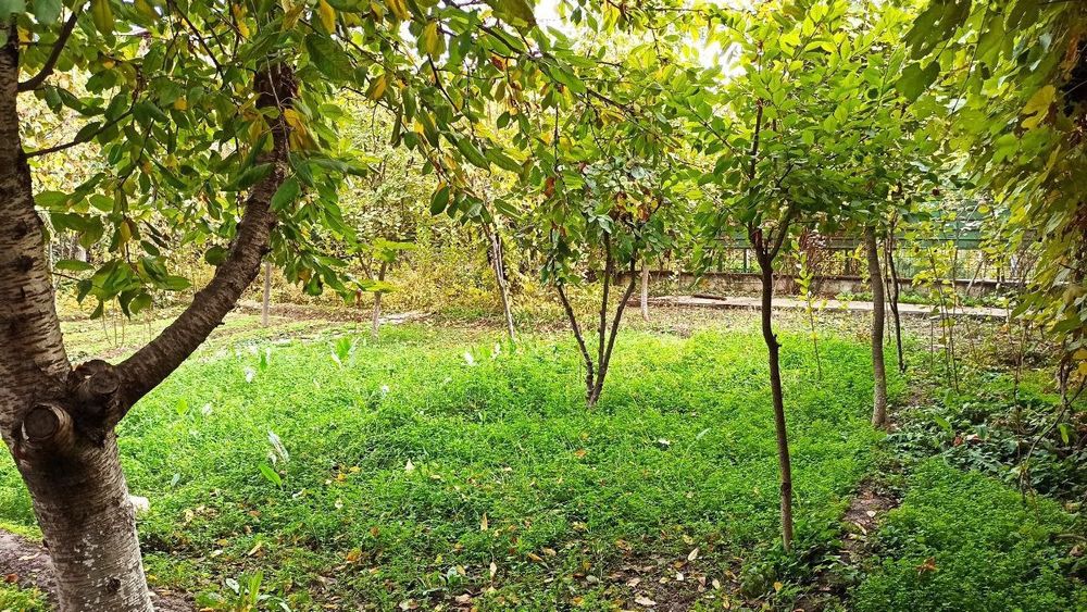 Продаётся участок земли 12 соток в Зангиотинском районе с двумя домами