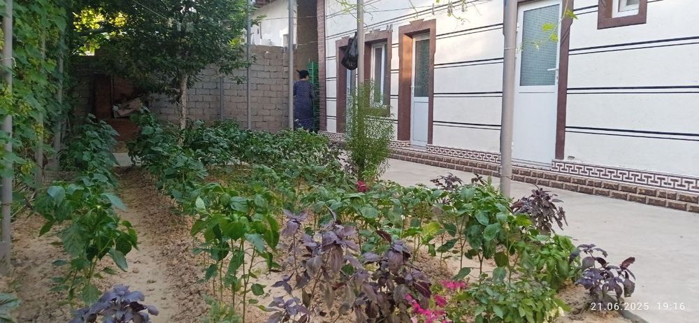 Участка сотилади 4.2 сотих